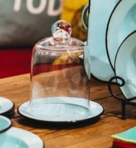 Cloche Bell Jar