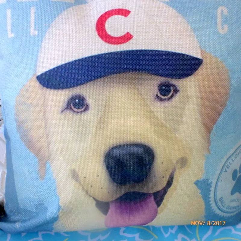Yellow Dog Baseball pillow cover, yellow lab pillows. baseball pillow cover